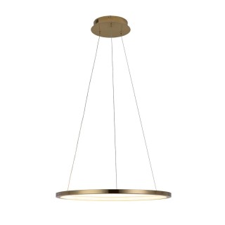 10014M Подвесной светильник LOFT IT Ring-foto3