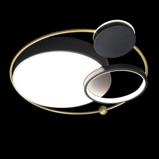 10064 Потолочный светильник LOFT IT Mike-foto2