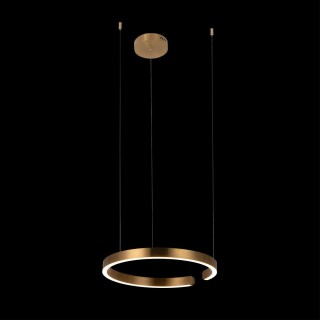 10013M Подвесной светильник LOFT IT Ring-foto2