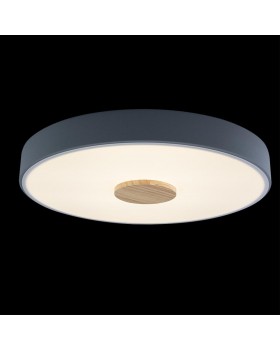 10003/24 Grey Потолочный светильник LOFT IT Axel-foto2