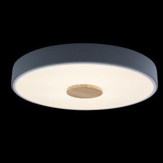 10003/24 Grey Потолочный светильник LOFT IT Axel-foto2