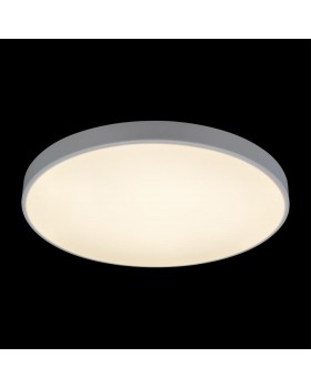 10002/48 White Потолочный светильник LOFT IT Axel-foto4