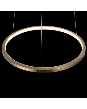 10014S Подвесной светильник LOFT IT Ring-foto4