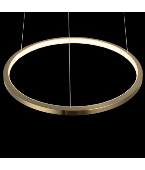 10014S Подвесной светильник LOFT IT Ring-foto4