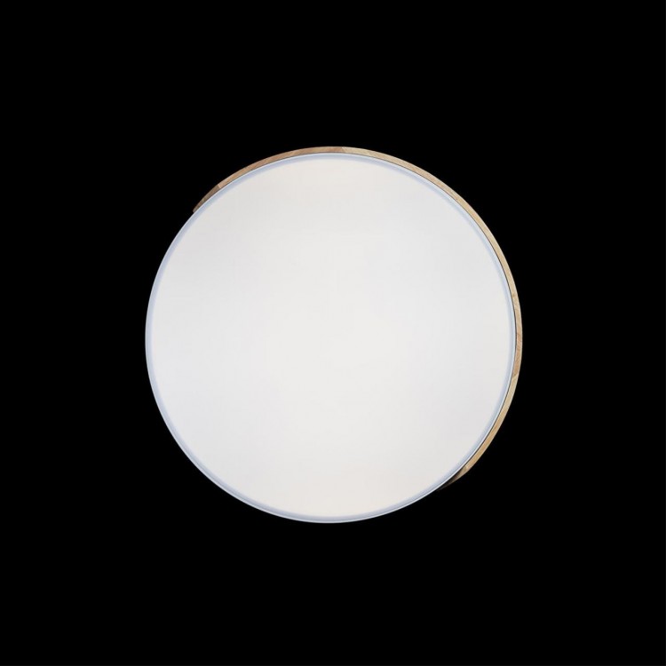 10004/36 White Потолочный светильник LOFT IT Axel