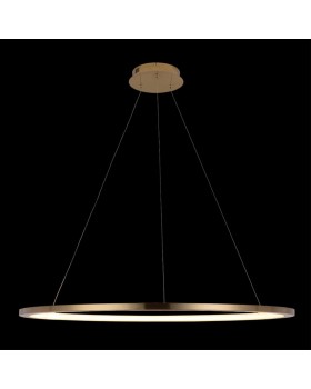 10014XL Подвесной светильник LOFT IT Ring-foto2