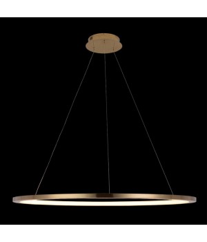 10014XL Подвесной светильник LOFT IT Ring-foto2