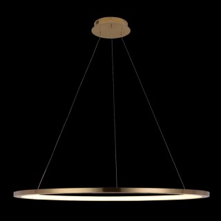 10014XL Подвесной светильник LOFT IT Ring-foto2