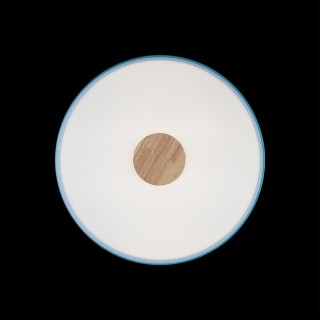 10003/24 Blue Потолочный светильник LOFT IT Axel-foto6