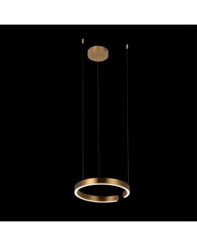 10013S Подвесной светильник LOFT IT Ring-foto2