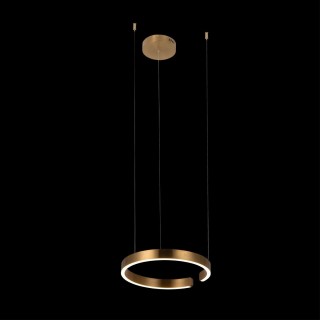 10013S Подвесной светильник LOFT IT Ring-foto2