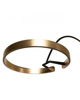 10027 Торшер LOFT IT Ring-foto5