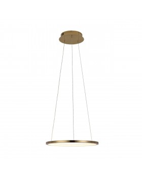 10014S Подвесной светильник LOFT IT Ring-foto3