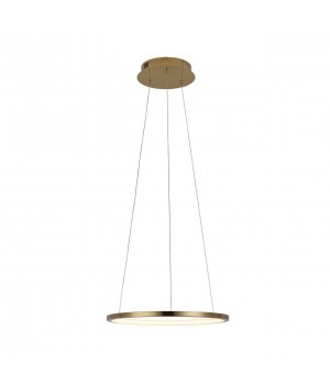 10014S Подвесной светильник LOFT IT Ring-foto3