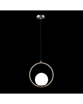LOFT2600-B Подвесной светильник LOFT IT Glob-foto2