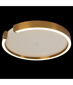 10026 Потолочный светильник LOFT IT Ring-foto2