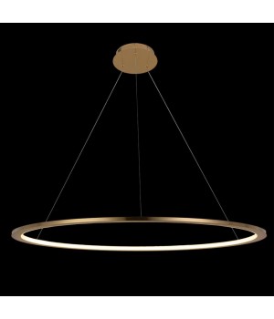 10014XL Подвесной светильник LOFT IT Ring-foto4