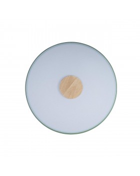 10003/24 Green Потолочный светильник LOFT IT Axel-foto3