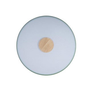 10003/24 Green Потолочный светильник LOFT IT Axel-foto3