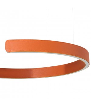 10025/400 Orange Подвесной светильник LOFT IT Ring-foto5