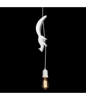 10092 Подвесной светильник LOFT IT Sherwood-foto4