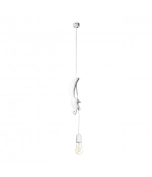 10092 Подвесной светильник LOFT IT Sherwood-foto3