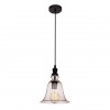 LOFT1812 Подвесной светильник LOFT IT Glass bell