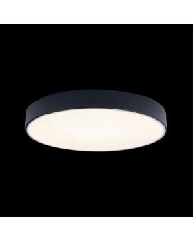 10002/24 Black Потолочный светильник LOFT IT Axel-foto2