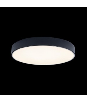 10002/24 Black Потолочный светильник LOFT IT Axel-foto2