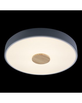 10003/24 Grey Потолочный светильник LOFT IT Axel-foto4