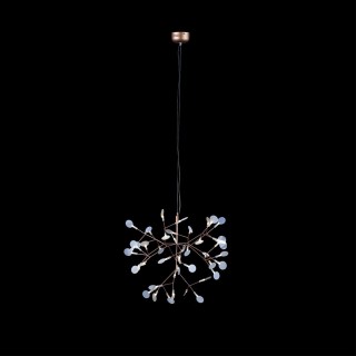 9022-45 Подвесной светильник LOFT IT Heracleum-foto2