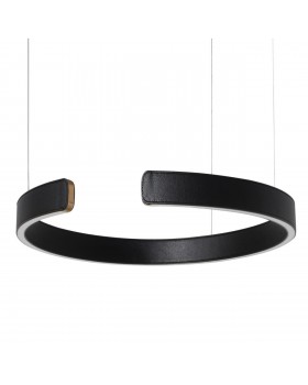 10025/400 Black Подвесной светильник LOFT IT Ring-foto3