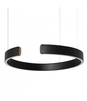 10025/400 Black Подвесной светильник LOFT IT Ring-foto3