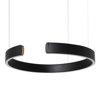 10025/400 Black Подвесной светильник LOFT IT Ring-foto3