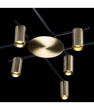 8120C-10 Потолочный светильник LOFT IT Tribes-foto4