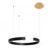 10025/600 Black Подвесной светильник LOFT IT Ring