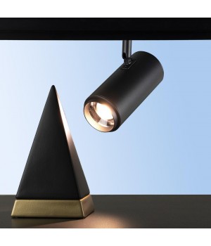 T046-06 Трековый светильник LOFT IT Tech-foto5