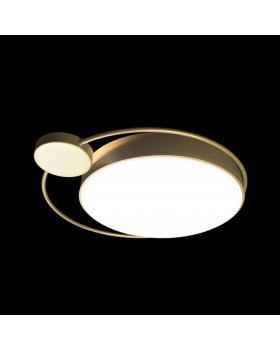 10063 Потолочный светильник LOFT IT Mike-foto5