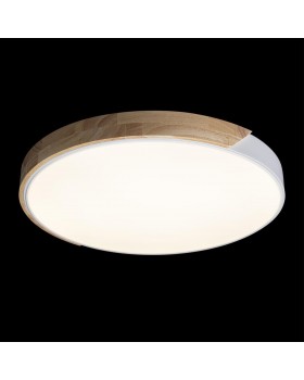 10004/36 White Потолочный светильник LOFT IT Axel-foto2