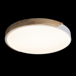 10004/36 White Потолочный светильник LOFT IT Axel-foto2