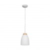 LOFT4402A-WH Подвесной светильник LOFT IT Watchman