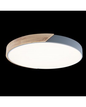 10004/36 Grey Потолочный светильник LOFT IT Axel-foto2