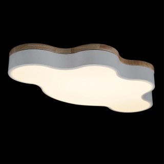 10005/36 White Потолочный светильник LOFT IT Axel-foto4