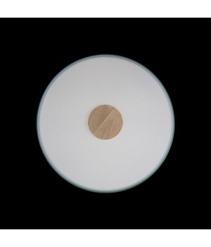 10003/24 Green Потолочный светильник LOFT IT Axel-foto4