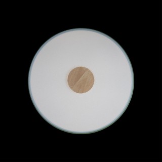 10003/24 Green Потолочный светильник LOFT IT Axel-foto4