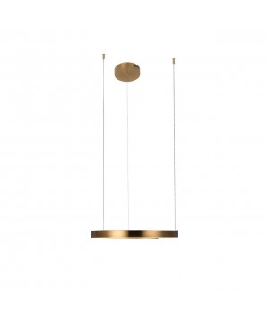 10013M Подвесной светильник LOFT IT Ring-foto3