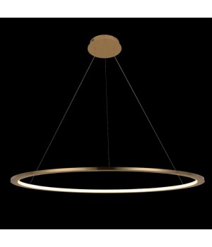 10014L Подвесной светильник LOFT IT Ring-foto4