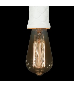 10091 Подвесной светильник LOFT IT Sherwood-foto5