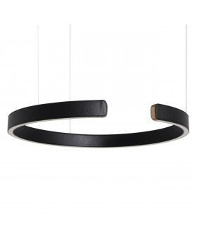 10025/600 Black Подвесной светильник LOFT IT Ring-foto3