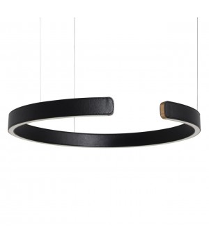 10025/600 Black Подвесной светильник LOFT IT Ring-foto3
